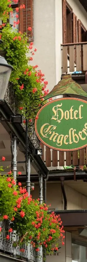 Hotel Engelberg "mein Trail Hotel"，位于英格堡的酒店