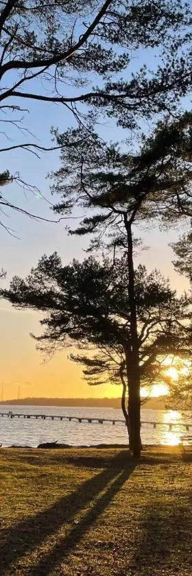 Hälleviks Strandstugor，位于瑟尔沃斯堡的酒店