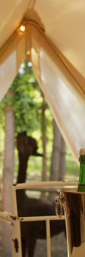 Glamping Visingsö，位于维辛瑟的酒店