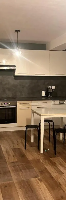Le 24 carat appartement 3 pièces neuf，位于Beaurepaire的酒店