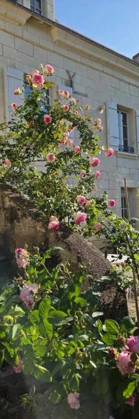 Au pied du Lavoir Chambre Odile，位于Grézillé的酒店
