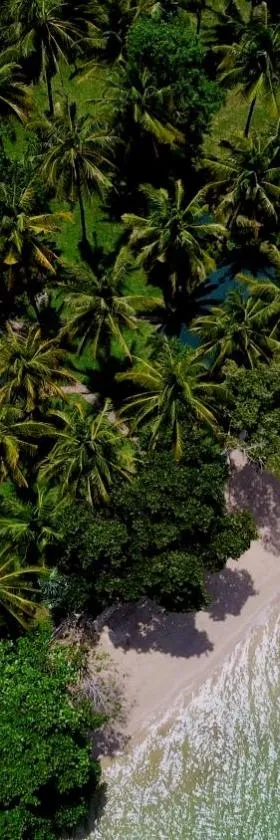 Belongas Bay Lodge，位于Blongas的酒店
