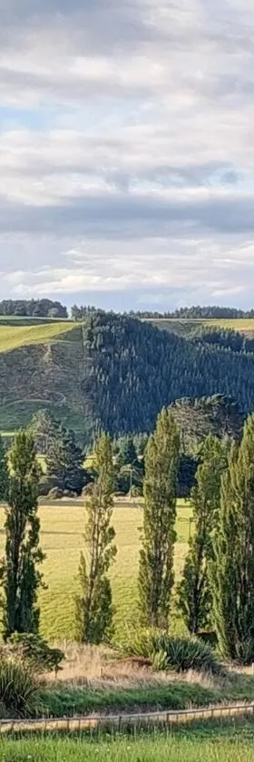 Totara Croft, a stargazers dream，位于菲尔丁的酒店