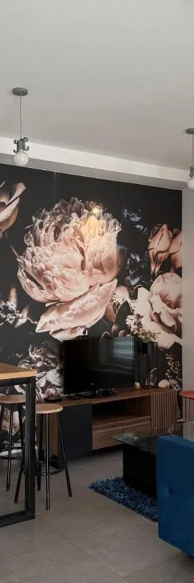 Apartamenty pod Wierzbami，位于Dwikozy的酒店