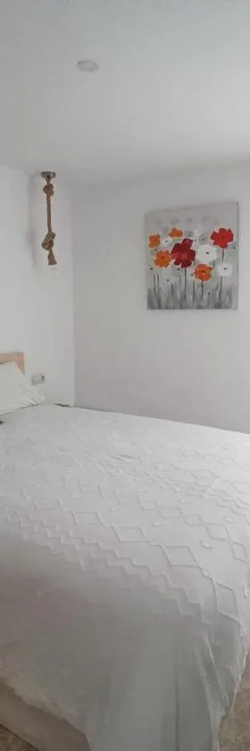 California Suite - Arenales del Sol 6P，位于阿勒纳勒斯德尔索尔的酒店