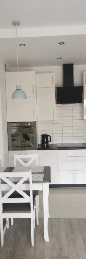 Apartament przy Lesie，位于奥尔什丁的酒店