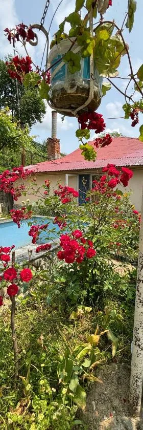 Friendly Cottage with small Pool，位于安布罗劳里的酒店