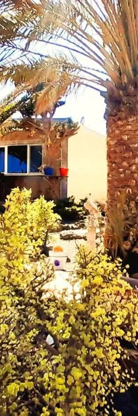 Tiny House MADORA - sea view - amazing garden - quiet location - Bodegas & hiking trails nearby，位于阿索马达的酒店