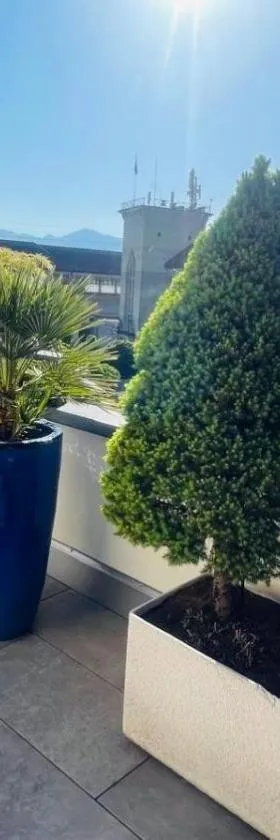 Grosse Terrasse mit Privatsphäre & Aussendusche，位于Siebnen的酒店