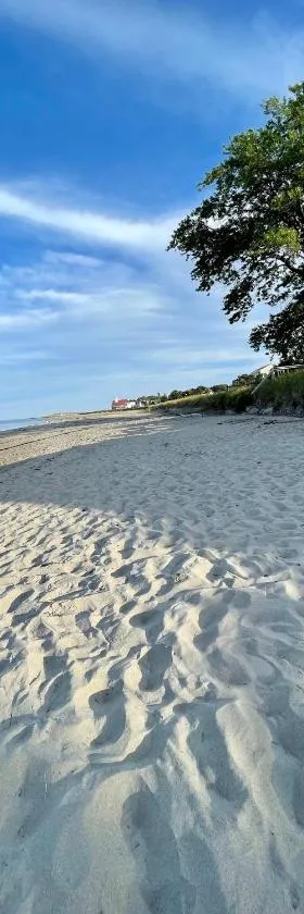 Spinneys Guesthouse & Beach Cottages，位于Phippsburg的酒店