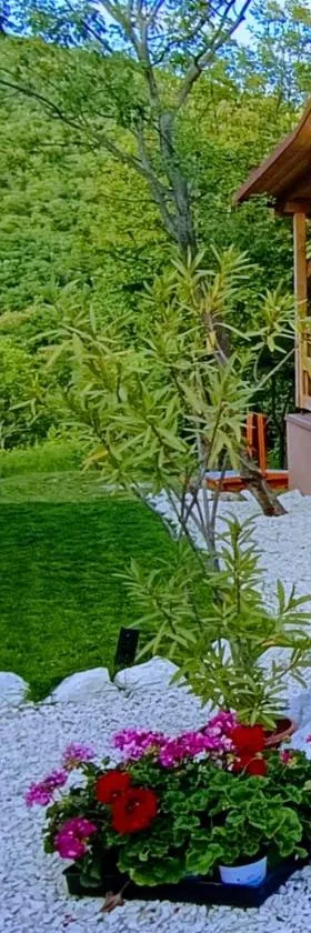 Hilltop Cottage in Szentendre, mountain view, terrace, garden，位于圣安德烈的酒店