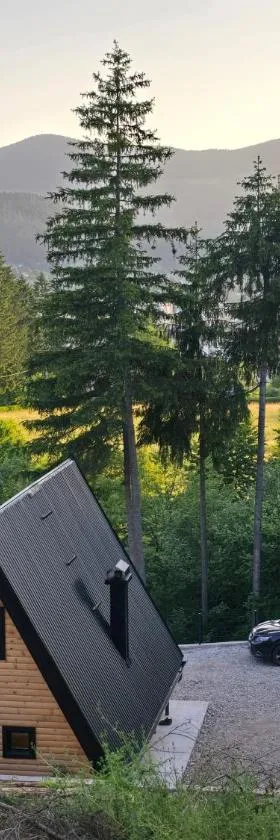 Vikendica Villa Marija Pale，位于帕莱的酒店