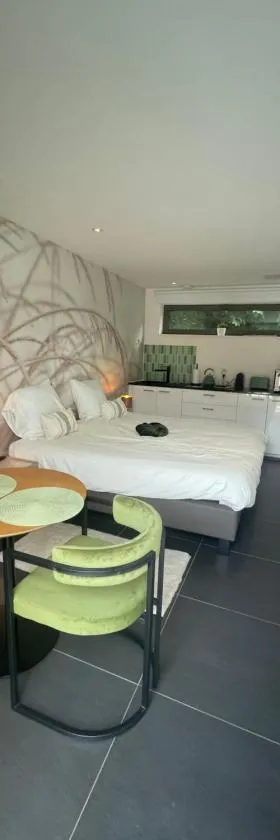 Q Studio Green，位于Herzele的酒店
