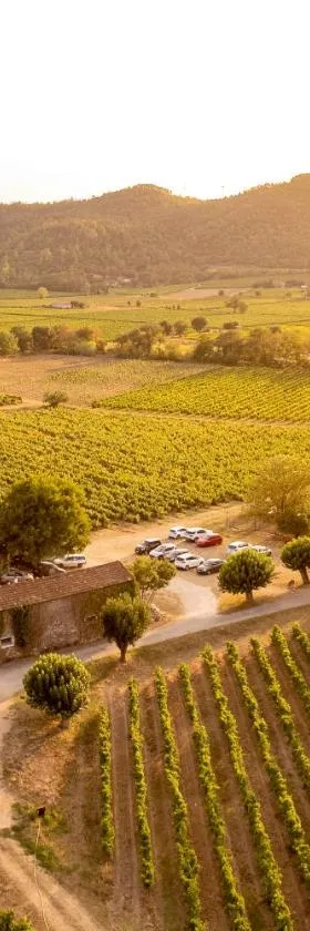 Gîte Mimosa au milieu des vignes - Château les Apiès，位于阿尔让河畔阿尔克的酒店