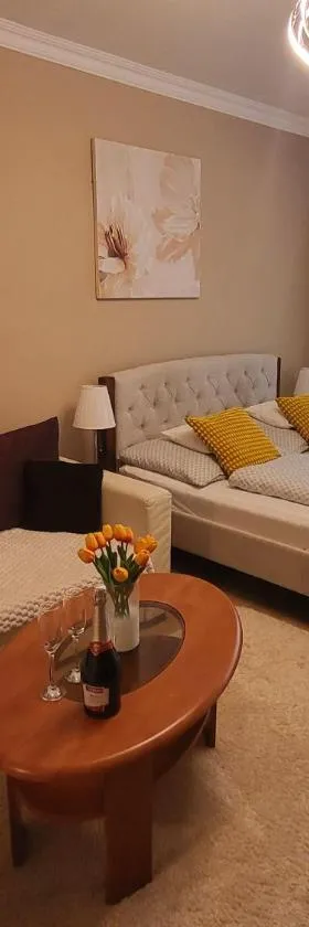 Jókai Apartman Szarvas，位于索尔沃什的酒店