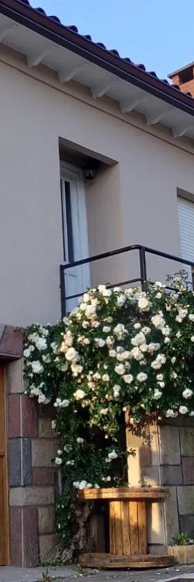 Villa Adelina，位于Heres的酒店