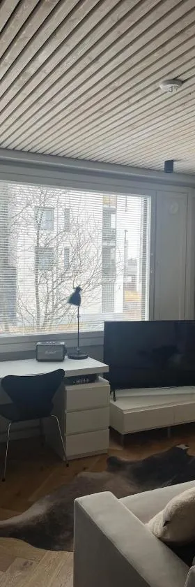 Chic Compact Apartment，位于奥卢的酒店