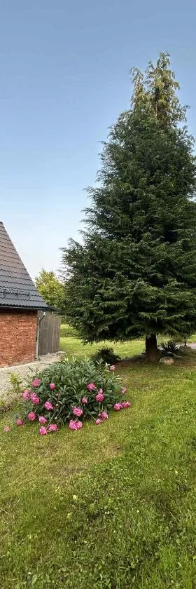 Domek Dziki Spokój w Krainie Wygasłych Wulkanów，位于Wojcieszów的酒店
