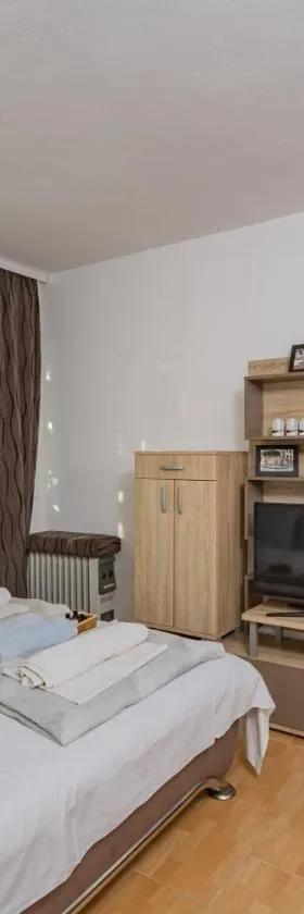 Mijailovic apartmani PARKING WI FI AIR CONDITION FREE，位于Kaluđerac的酒店