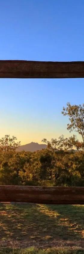 Mt Larcom Tourist Park，位于Mount Larcom的酒店