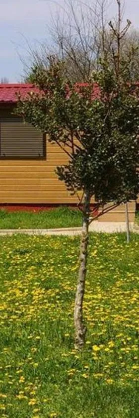 Bungalows Granja Escuela Arlanzón，位于Arlanzón的酒店