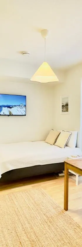 Brand New Cozy Studio，位于图尔库的酒店