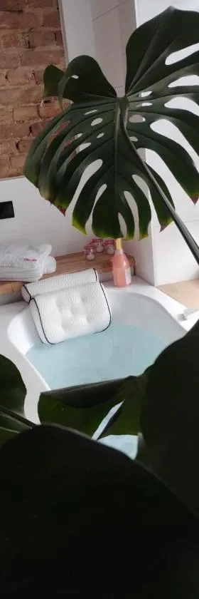Apartment romantyczny SAKURA，位于延杰尤夫的酒店