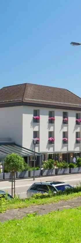 Hotel Hecht，位于Rheineck的酒店