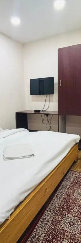 Stay Inn Kailasha - Lift,Parking,Kitchen and all modern facilities，位于瓦拉纳西的酒店