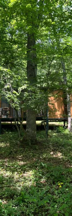 Nina's winery forest house in Kiketi，位于第比利斯的酒店