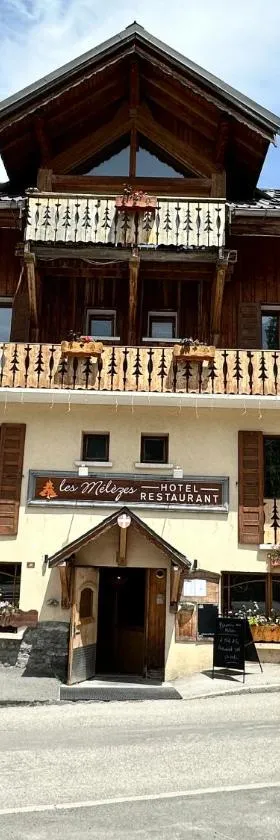 Hôtel-Chalet les Mélèzes，位于瓦卢瓦尔的酒店