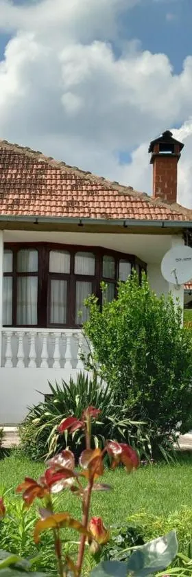 Apartmani Ćosić，位于Kuršumlija的酒店