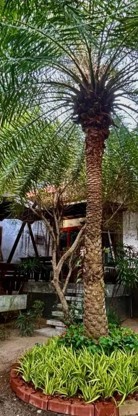 Chook Dee Resort，位于班泰的酒店