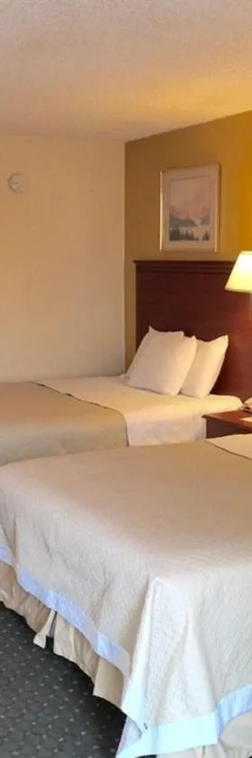 Alamo Inn，位于布法罗的酒店