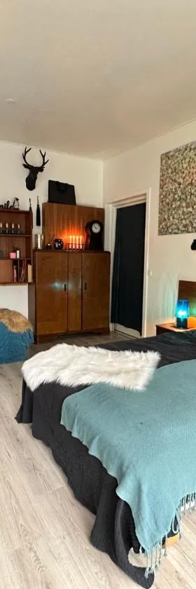 Hobro guesthouse，位于霍布罗的酒店