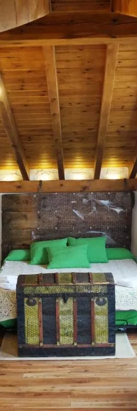 Casa Rural Bioenergética La Serrezuela，位于Olmos de Atapuerca的酒店