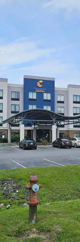 Comfort Suites New Bern near Cherry Point，位于新伯尔尼的酒店