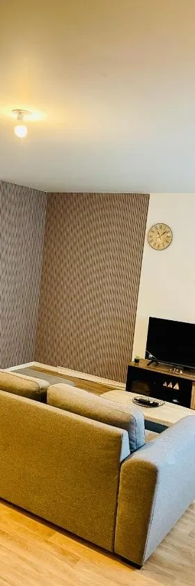 Location Appartement T3#1，位于塞纳河畔皮埃尔菲特的酒店