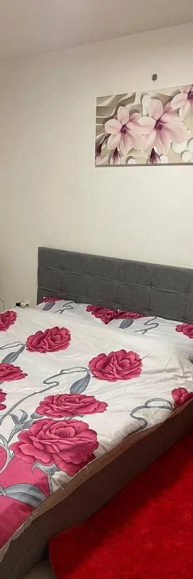 U Tonyho - Apartmán v centru Strakonice 2-kk，位于斯特拉科尼采的酒店