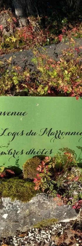 Le Logis du Marronnier，位于Perpezac-le-Noir的酒店