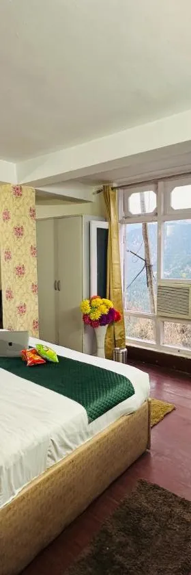 Hotel Eagle Nest Central Heated，位于戴尔豪斯的酒店