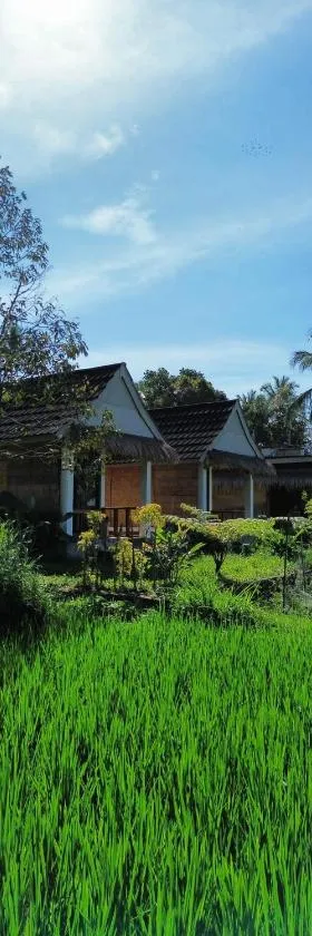 PANORAMA BUNGALOWs，位于特特巴图的酒店