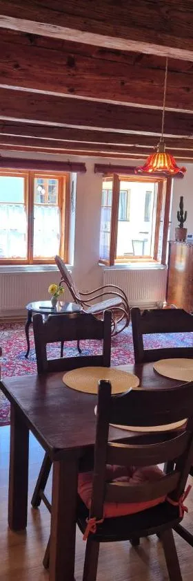 Apartmá Na palírně，位于特热比奇的酒店