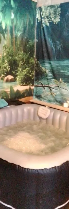 Studio calme avec billard, spa，位于Saint-Priest的酒店