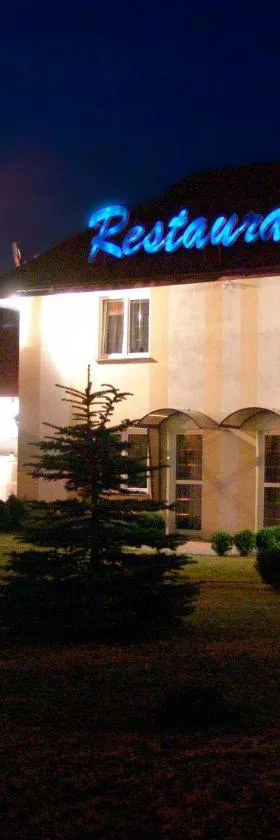 Hotel Pod Dębami，位于帕比亚尼采的酒店