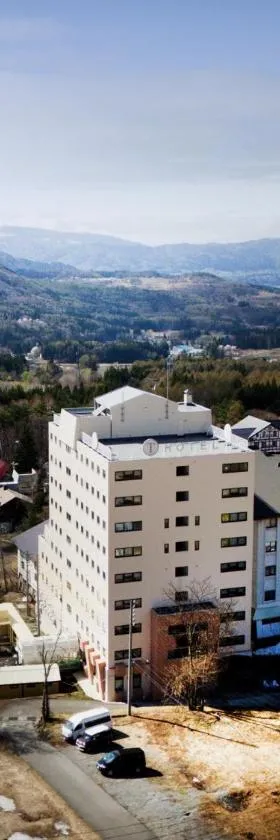 T Hotel Ryuoo，位于Shimotakai的酒店