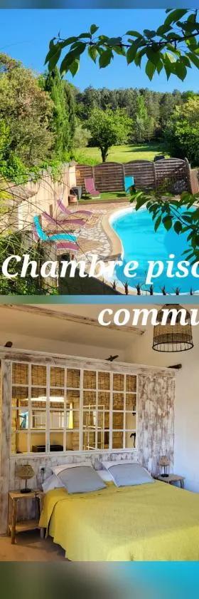 1 Chambre piscine commune et 1 Gite piscine privée La Sauvasse，位于瓦纳斯的酒店