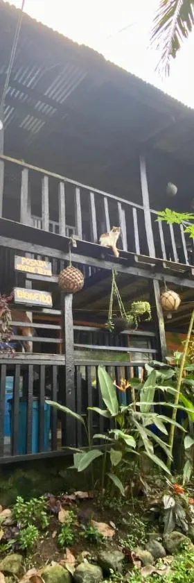 Posada Madre Tierra，位于巴亚索拉诺的酒店