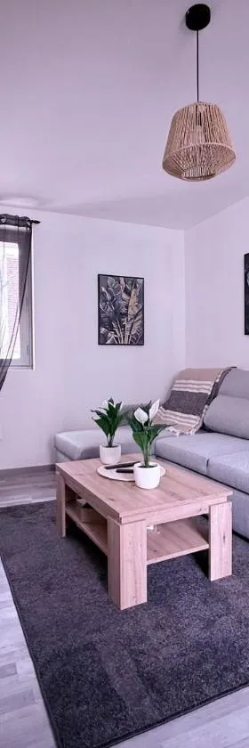Appartement Cosy Auxerre centre ville，位于欧塞尔的酒店