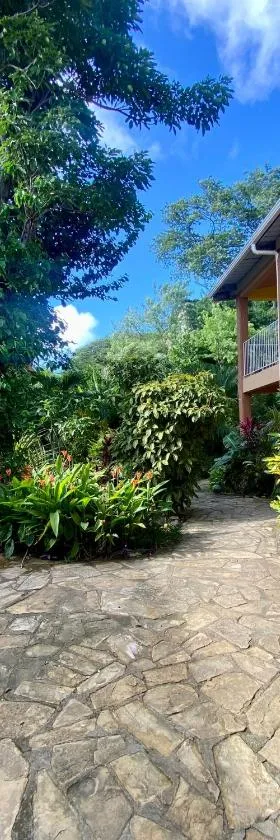 Hotel Paraíso del Sur，位于南圣胡安的酒店